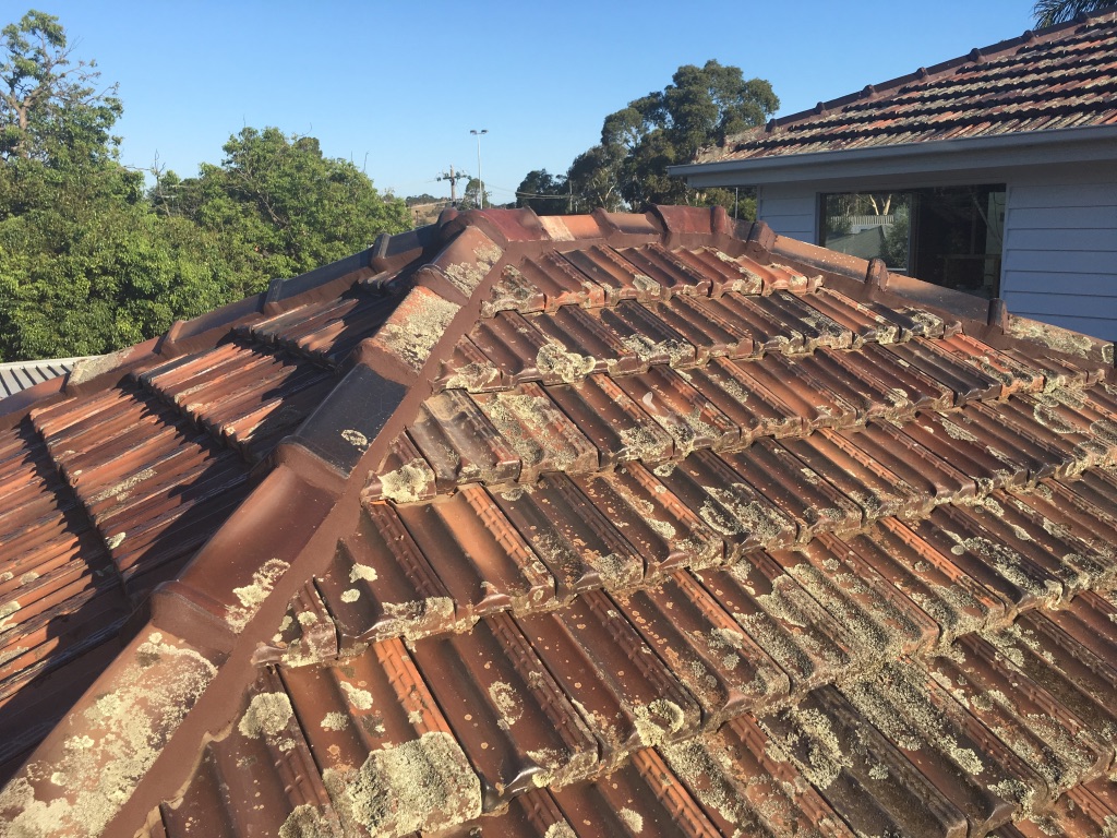 roof-repair-knox-city