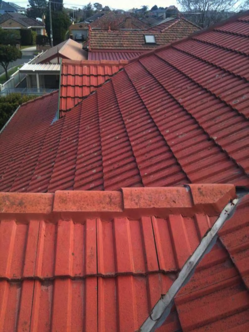 roof repair red pointing