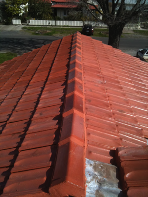 roof repair terracotta